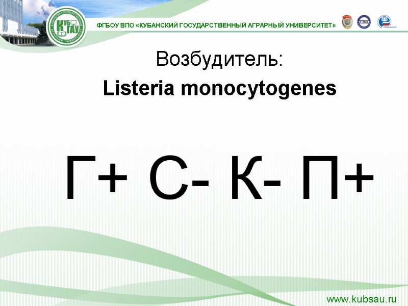 Возбудитель: Listeria monocytogenes  Г+ С- К- П+